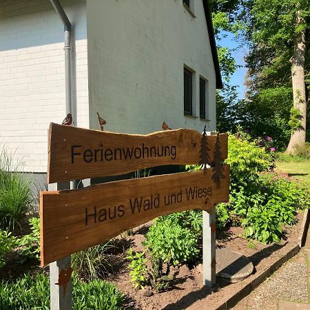Haus Wald Und Wiese Wohnung Wiese Ehndorf Kültér fotó